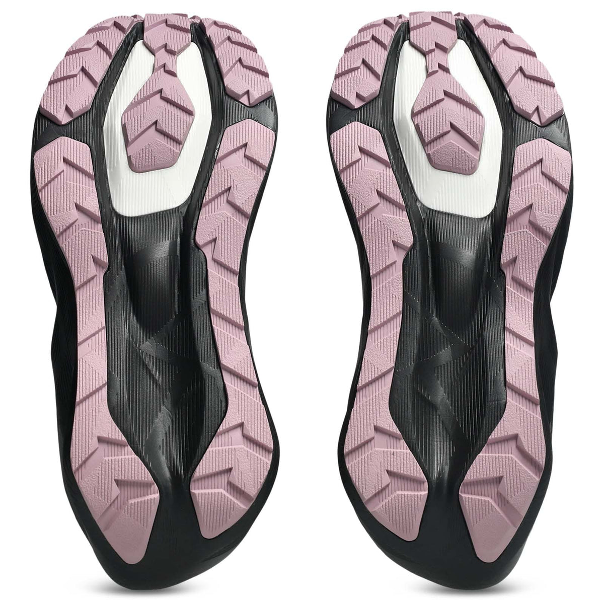Asics Novablast 6 GTX Womens Purple