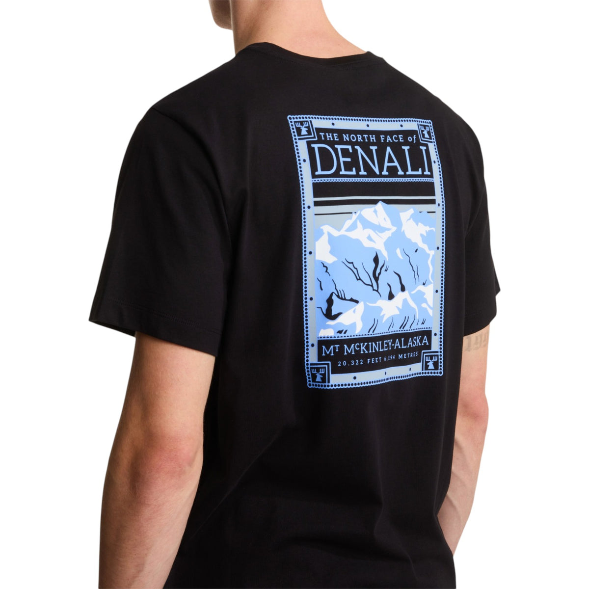 TNF Mens North Faces Denali Black