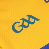 O'Neills Clare 26 Home Playr Fit Jsy Ylw