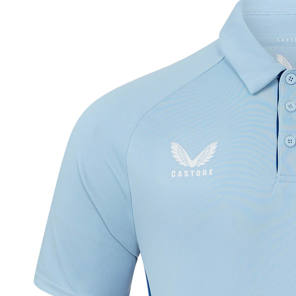 Castore Leinster 2024/25 Pro Players Training Polo