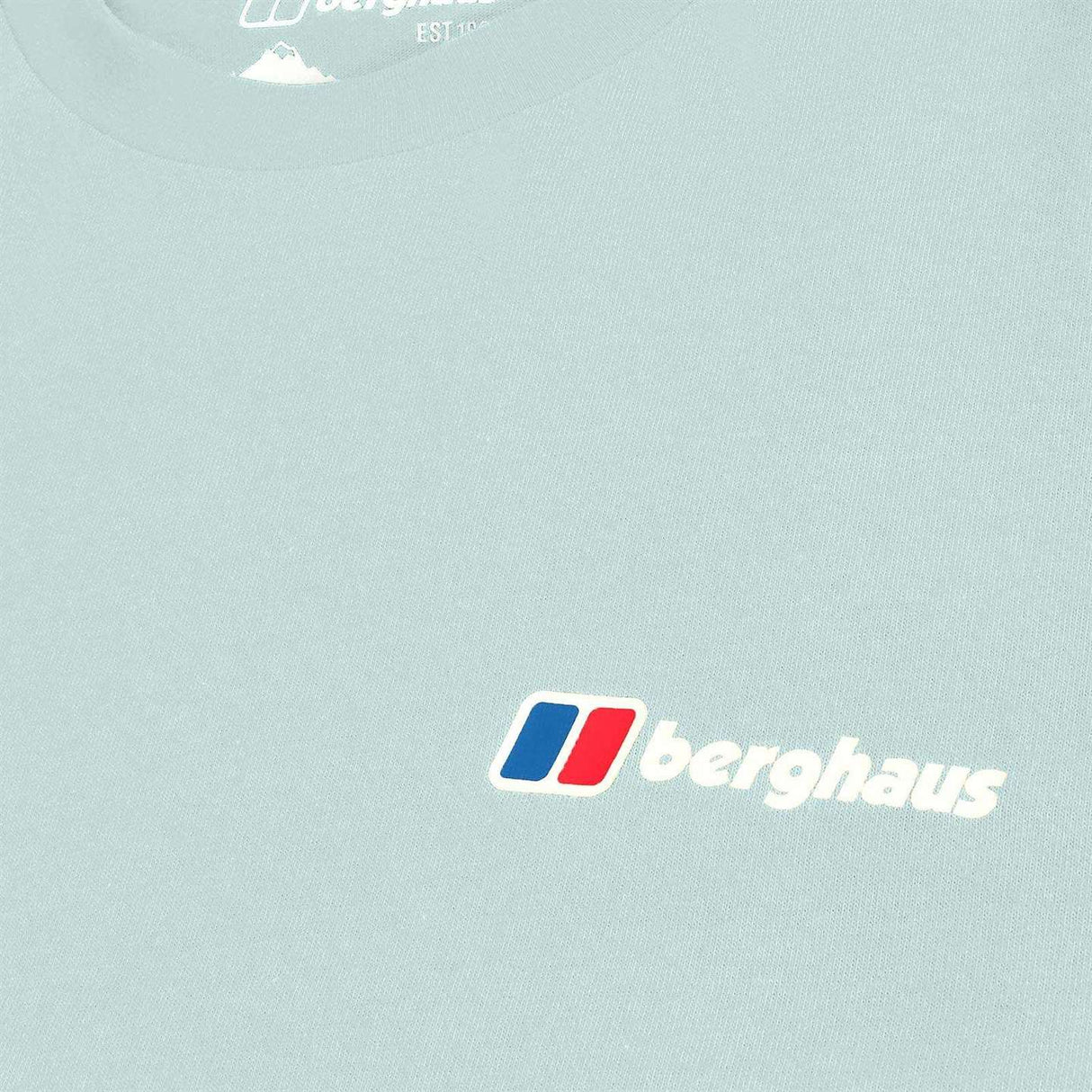 Berghaus M Berghaus Class Logo Tee Green