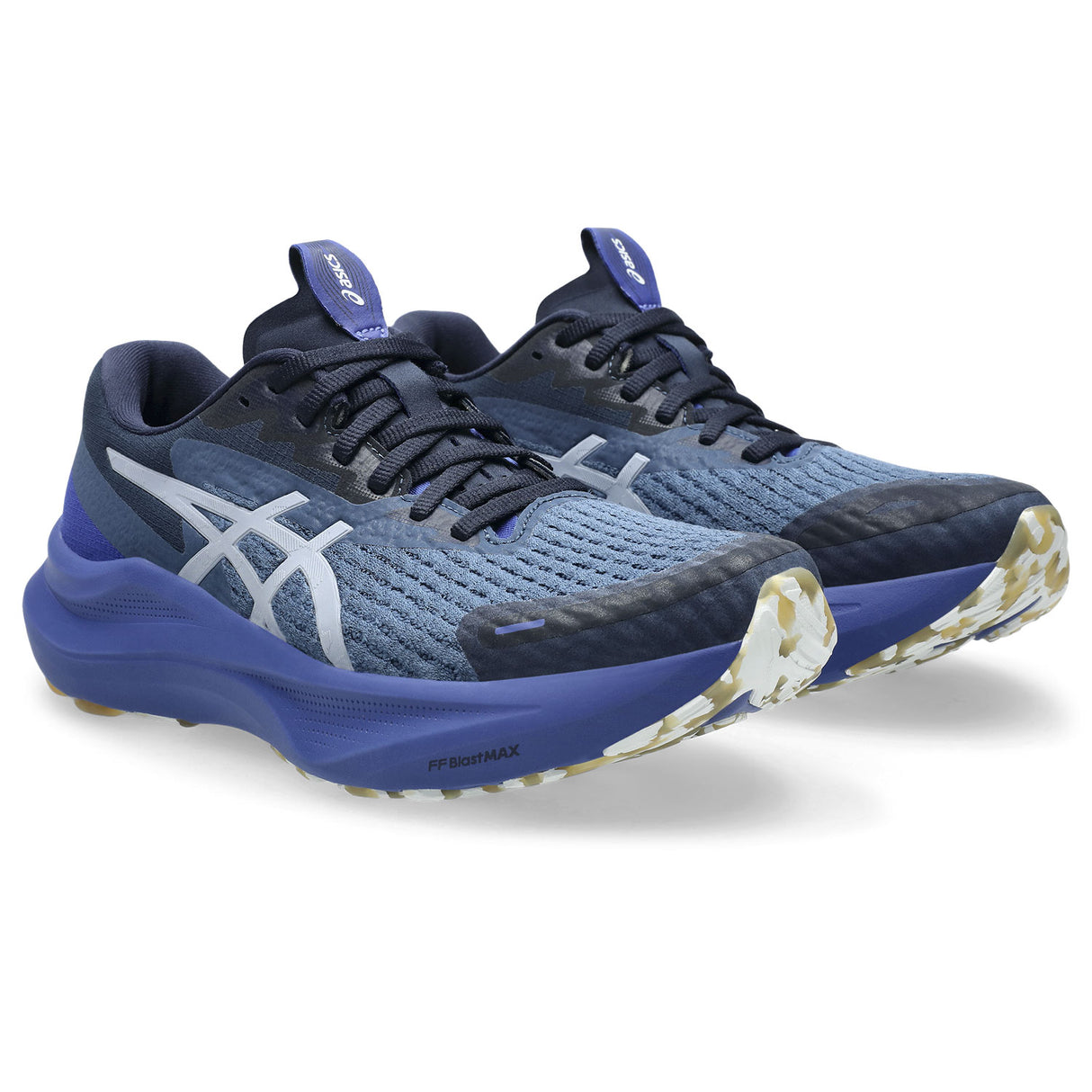 Asics Wmns GT-2000 14 Lite-Show Navy