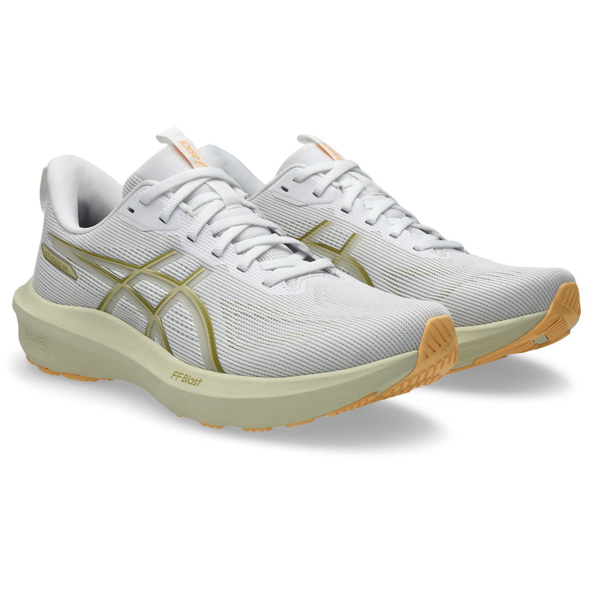 Asics GT-1000 14 Mens Road Running Shoes