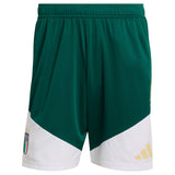 adidas Italy Football World Cup 2026 Adults Tiro Training Shorts