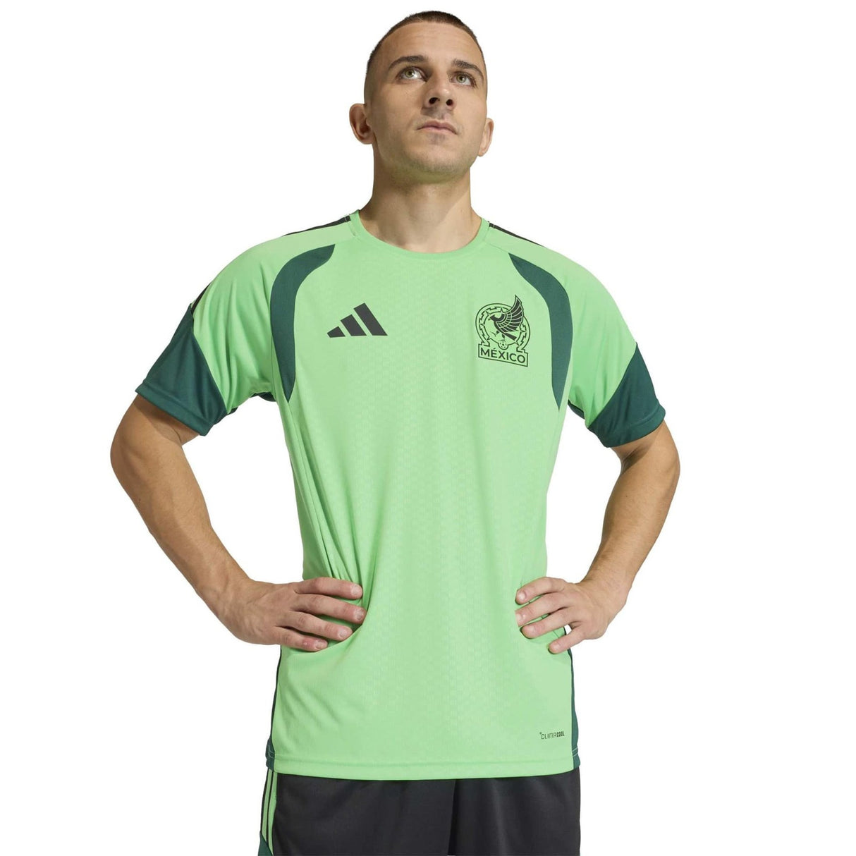 adidas Mexico WC26 Train Jersey Green