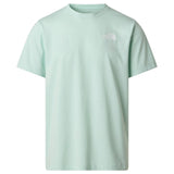 TNF Mens EVOLUTION BOX NSE Reg SSTee Grn