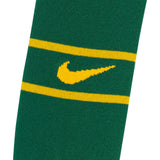 NIKE SPRINGBOKS KIDS KIT HOME Green