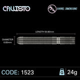 Winmau Callisto Darts 24g
