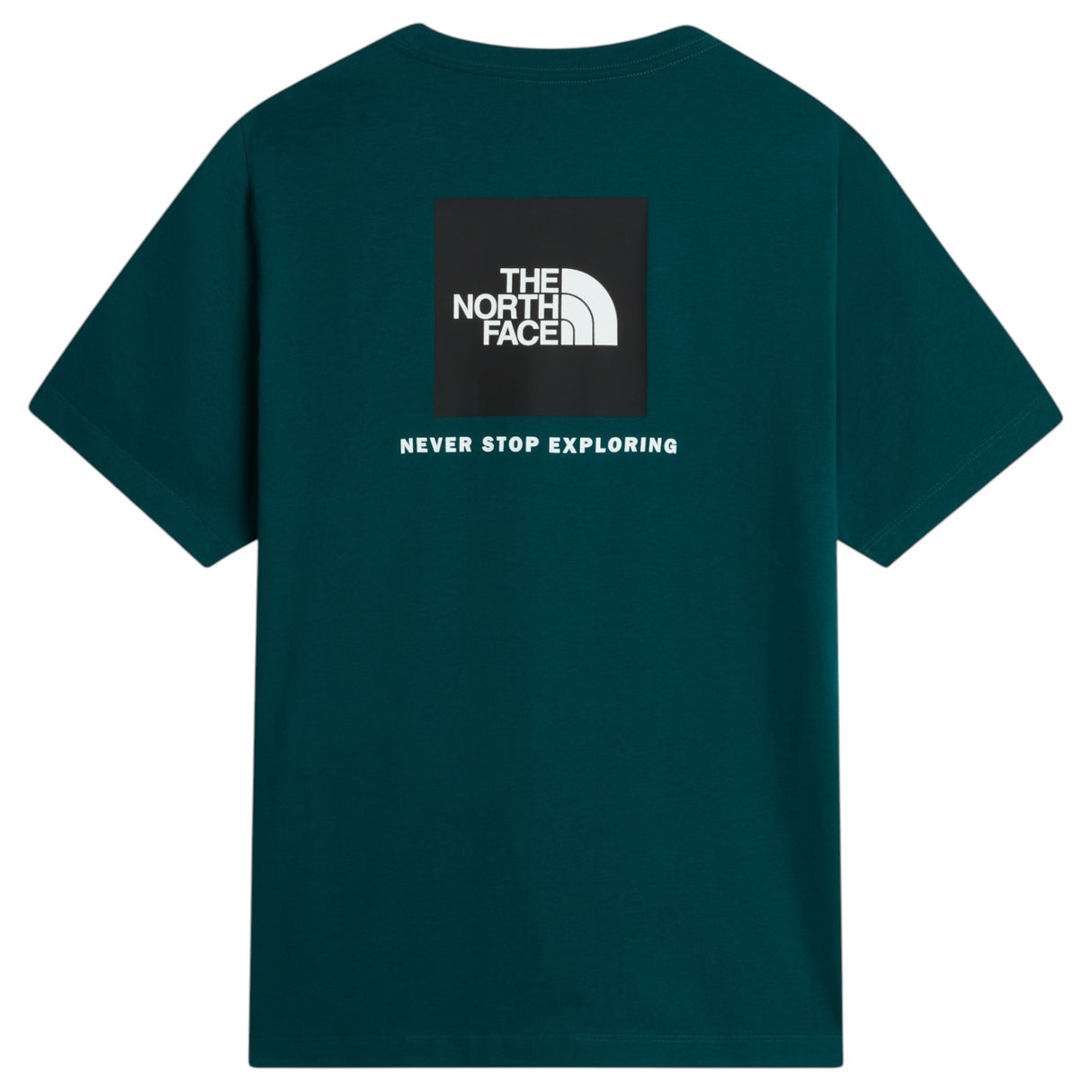 TNF Mens Evolution Box NSE SS Tee Green