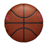 Wilson NBA Composite Chicago Bulls 7