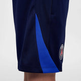Nike Paris Saint-Germain Strike Kids Dri-FIT Soccer Knit Shorts - Close up