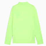 Puma MCFC 25 Kids UCL Train QZ Top Green