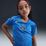 Nike THFC 25 3rd K Strike Drill Tee Blu