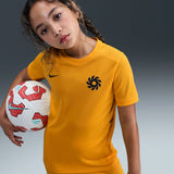 Nike EH K DF ACD25 TOP SS -PD Yellow