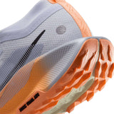 Nike Wmns Pegasus Trail 5 GoreTex Purple