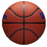 Wilson NBA Golden State Warriors Team Alliance Basketball