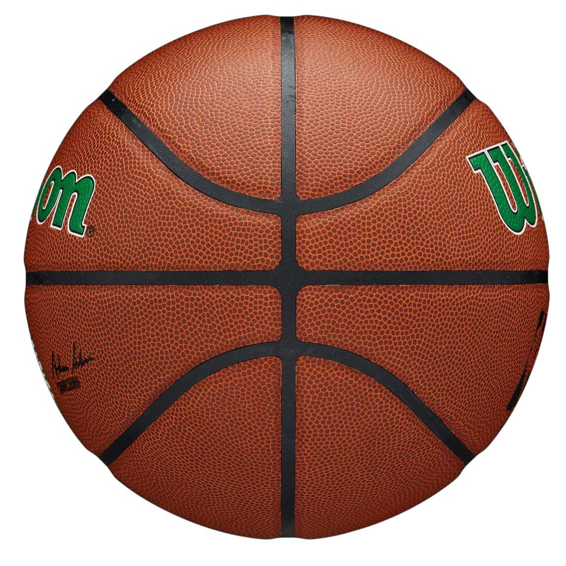 Wilson NBA Boston Celtics Team Alliance Basketball