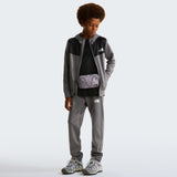 TNF TEEN Boys REAXION Jogger Grey