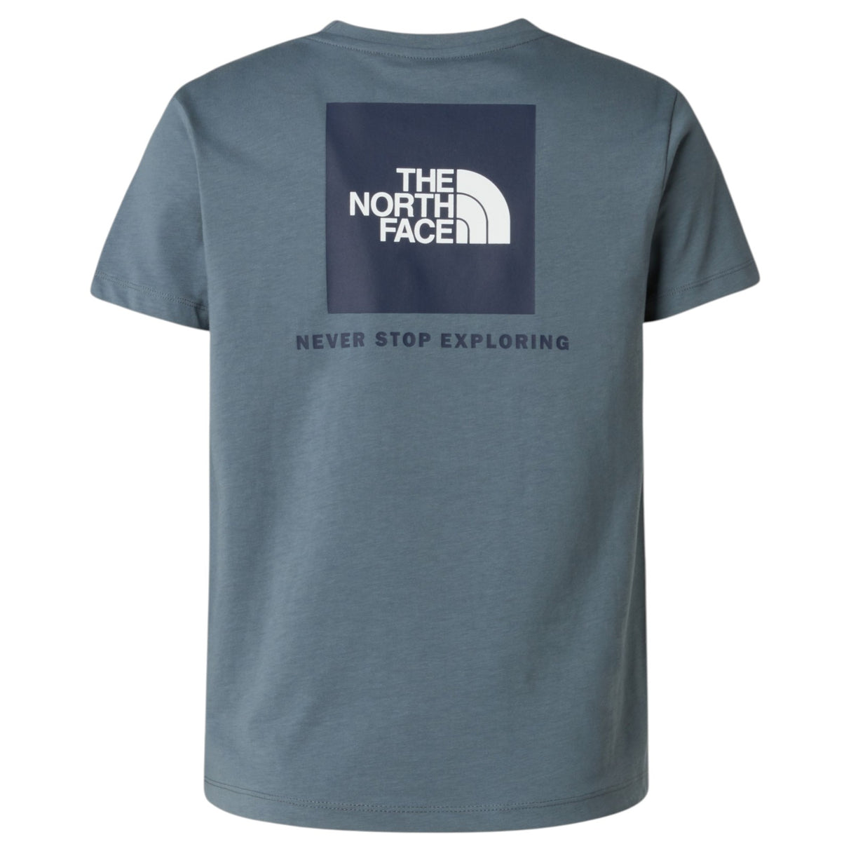 TNF TEEN Boy BOX NSE REGULAR SS Tee Grey