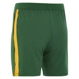 NIKE SPRINGBOKS MENS TRNING SHORT Green