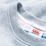 Canterbury Womens Uglies Logo Crew Grey