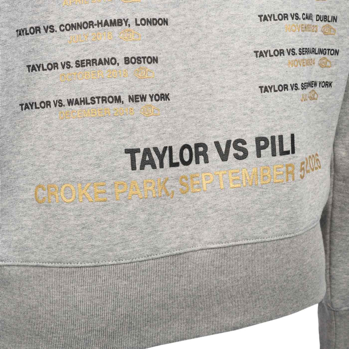 CHAMPION KT FAN HOODY GREY