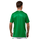 Castore FAI Ireland 2024 Home Short-Sleeve Jersey