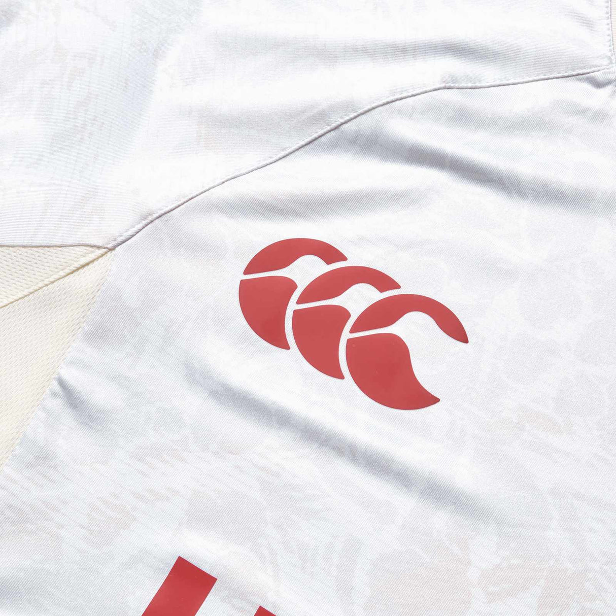 Canterbury British & Irish Lions Rugby 2024/25 Mens Superlight T-Shirt