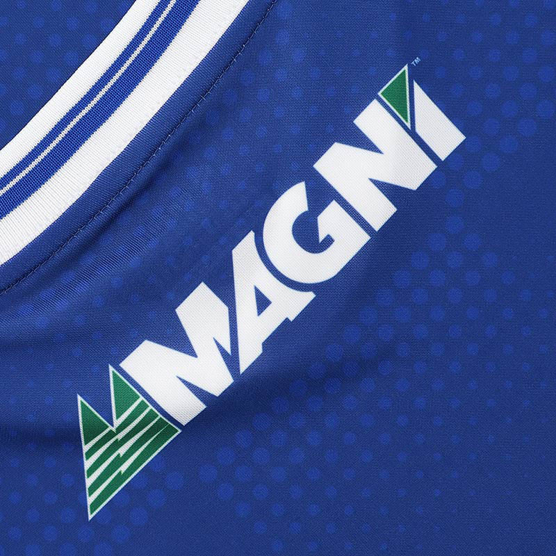 O'Neills Laois GAA 2025 Home Jersey