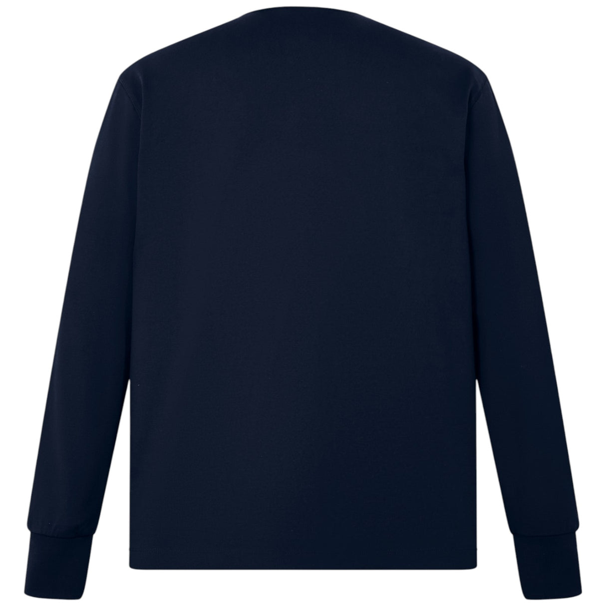 Canterbury British & Irish Lions Rugby The Classics Adults Jersey Mannequin Back View