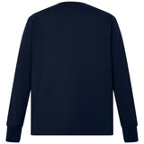 Canterbury British & Irish Lions Rugby The Classics Adults Jersey Mannequin Back View