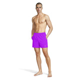 Nike Mens 5in Volley Short Violet