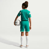 Nike Boys DF ACD25 Shorts Green