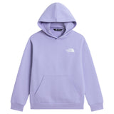 TNF Teen Evolution Box NSE Hoodie Purple