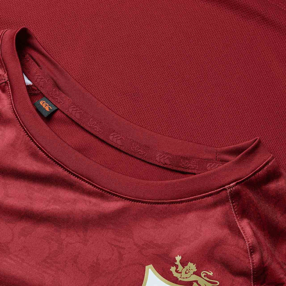 Canterbury British & Irish Lions Rugby Kids Superlight Top