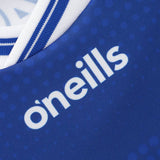 O'Neills Laois GAA 2025 Home Jersey