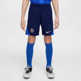 Nike Paris Saint-Germain Strike Kids Dri-FIT Soccer Knit Shorts - Full length