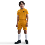 Nike EH K DF ACD25 TOP SS -PD Yellow