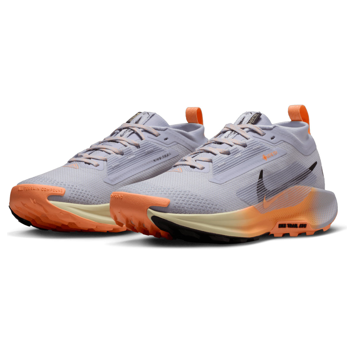 Nike Wmns Pegasus Trail 5 GoreTex Purple