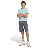 adidas Boys Messi Tref Shorts Grey