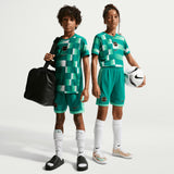 Nike Boys DF ACD25 Shorts Green