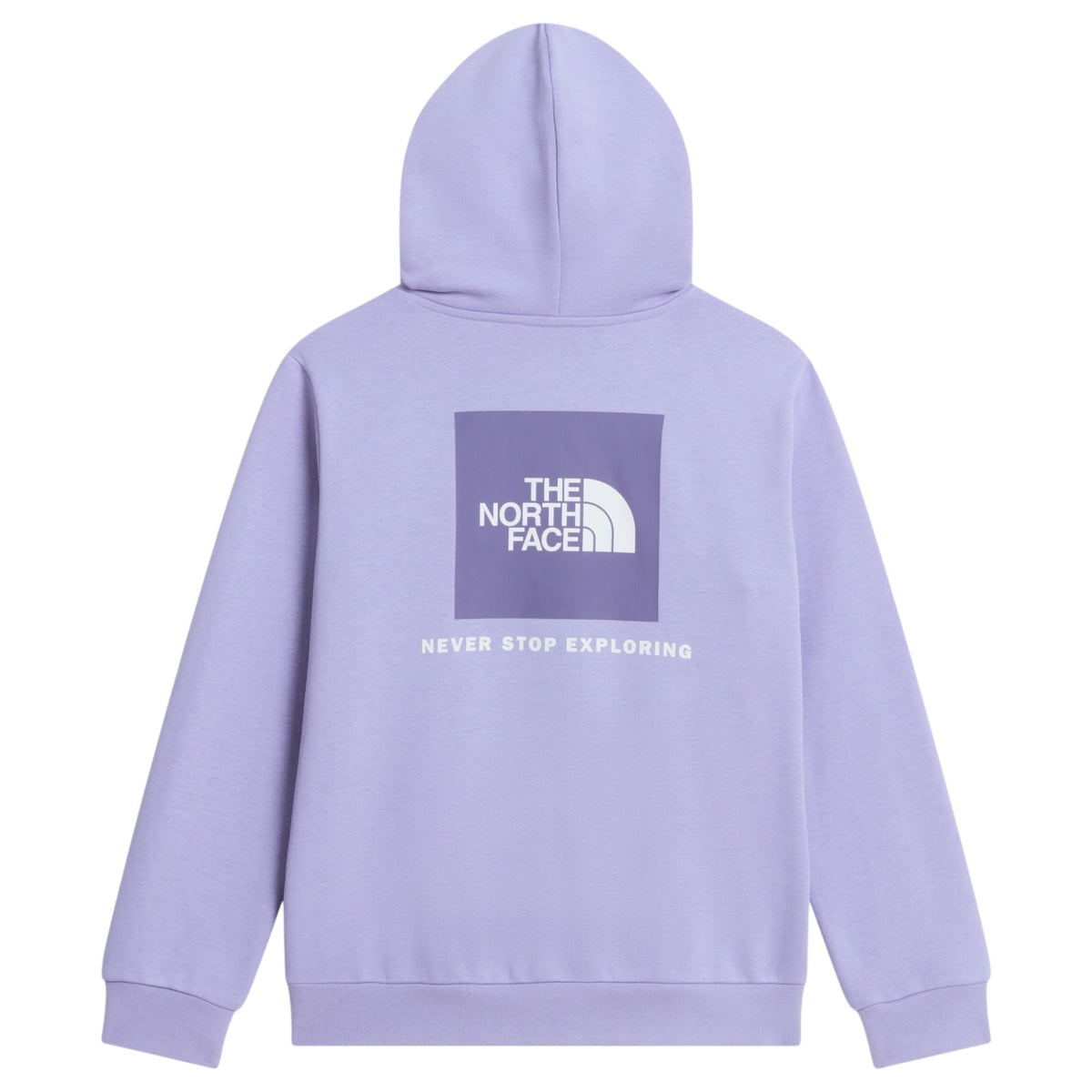 TNF Teen Evolution Box NSE Hoodie Purple