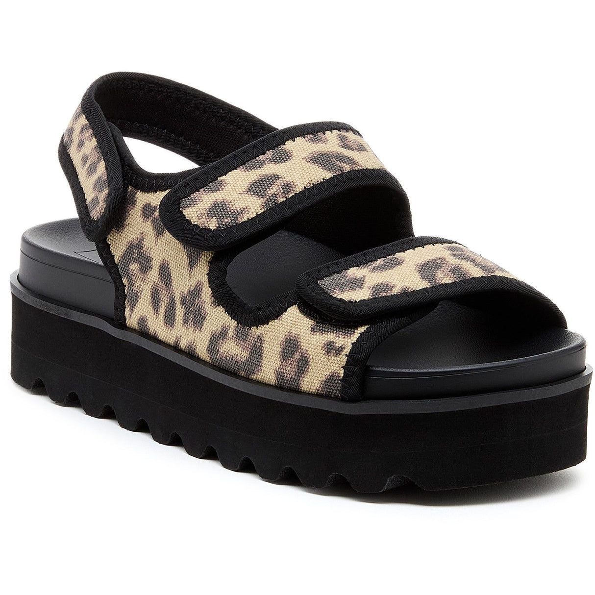 Rocket Dog Womens Balmy Dexter Sandal Tan/Black
