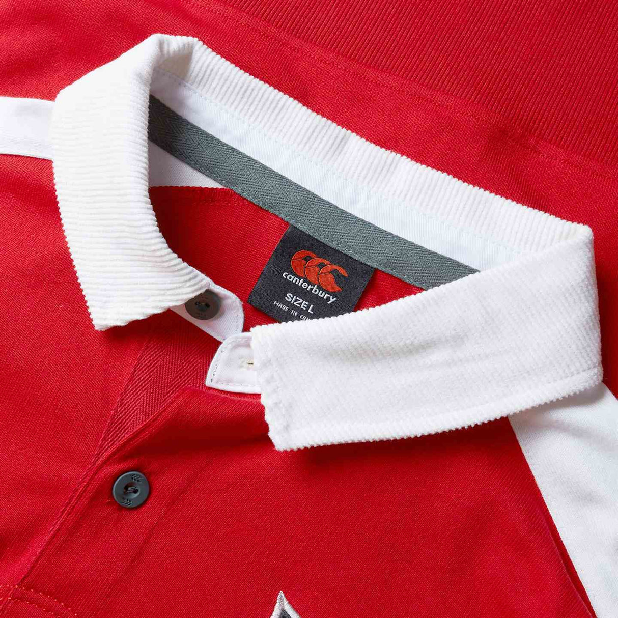 Canterbury British & Irish Lions Rugby 2024/25 Heritage Jersey