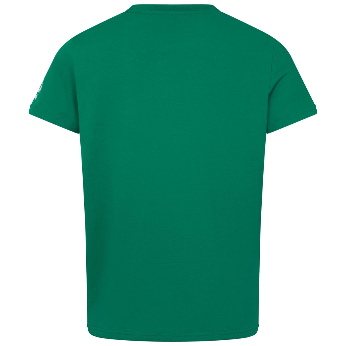 Canterbury IRFU Ireland Rugby 2025/26 Mens Short Training T-Shirt
