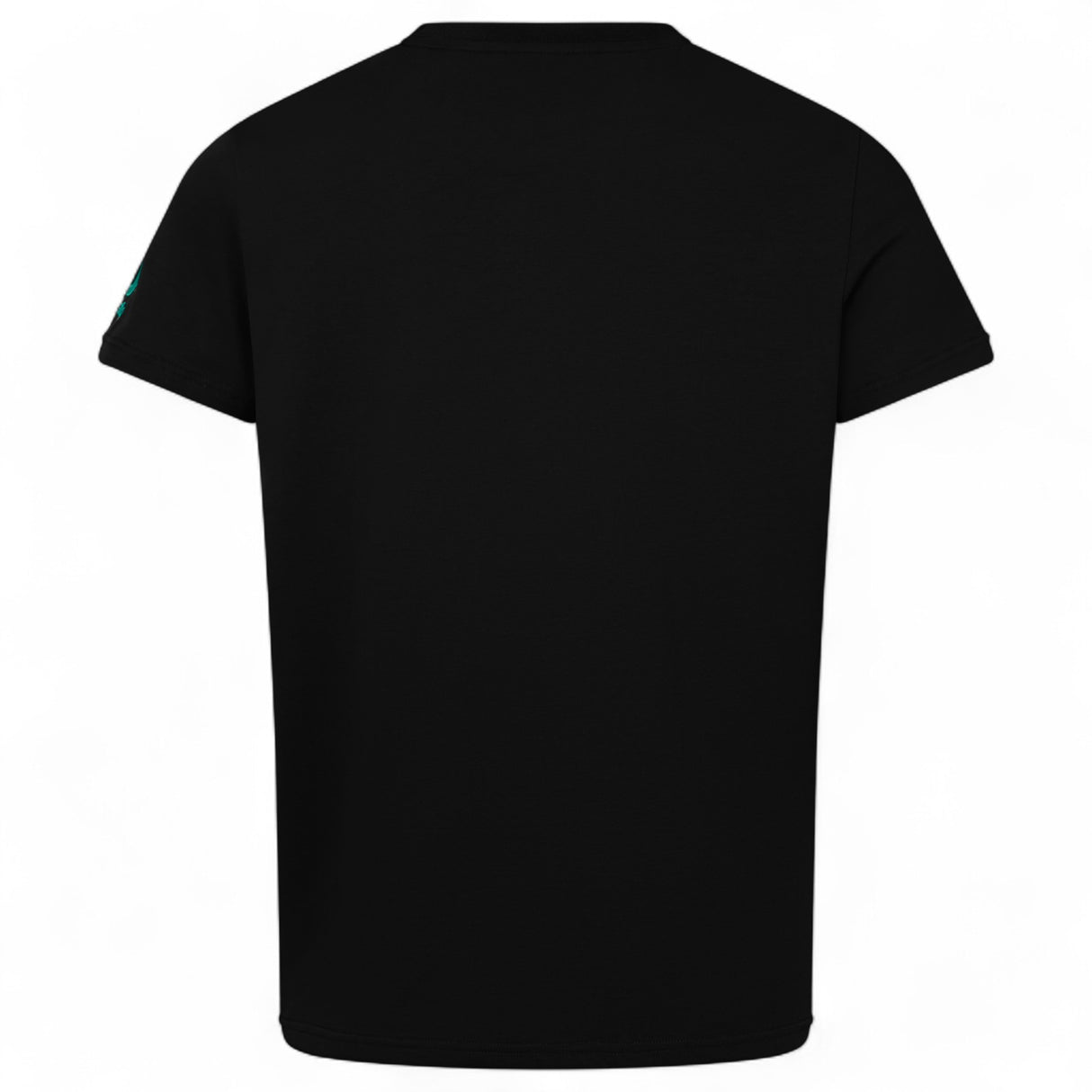 Canterbury IRELAND TEAM COTTON TEE Black