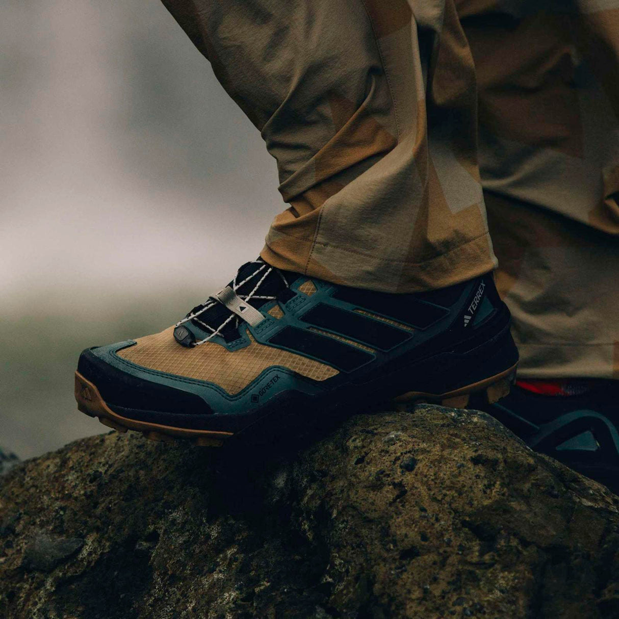 adidas Terrex Skychaser GTX Brown