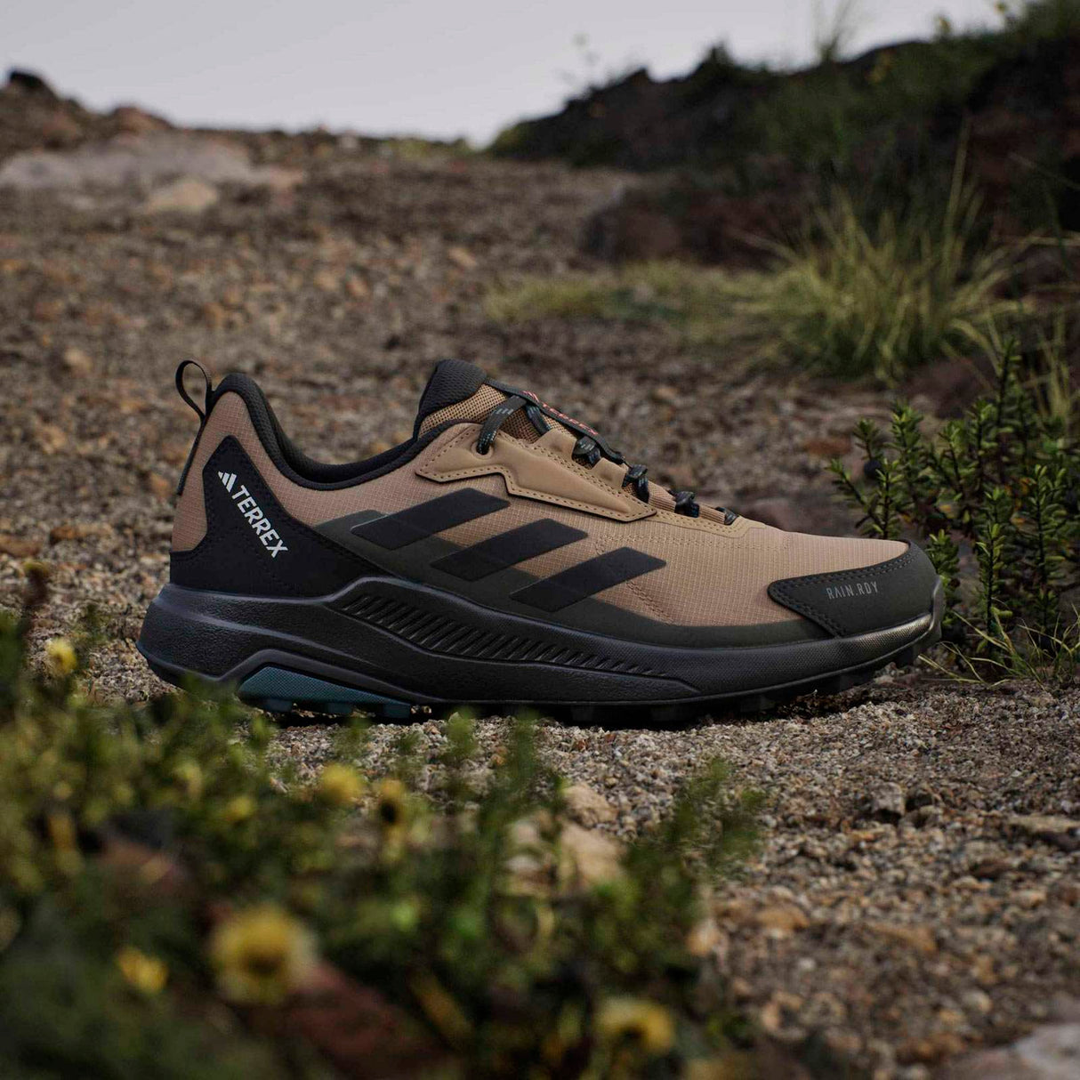 adidas Mens Terrex Anylander RDY  Brown