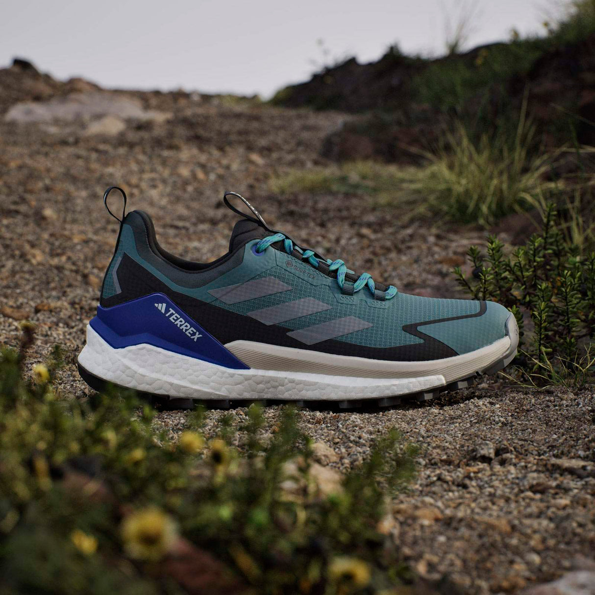 adidas Terrex Free Hiker 2.0 Low Gore-Tex Mens Hiking Shoes