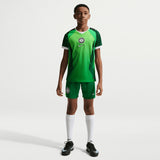 Nike Nigeria WC26 Kids Home Jersey Green
